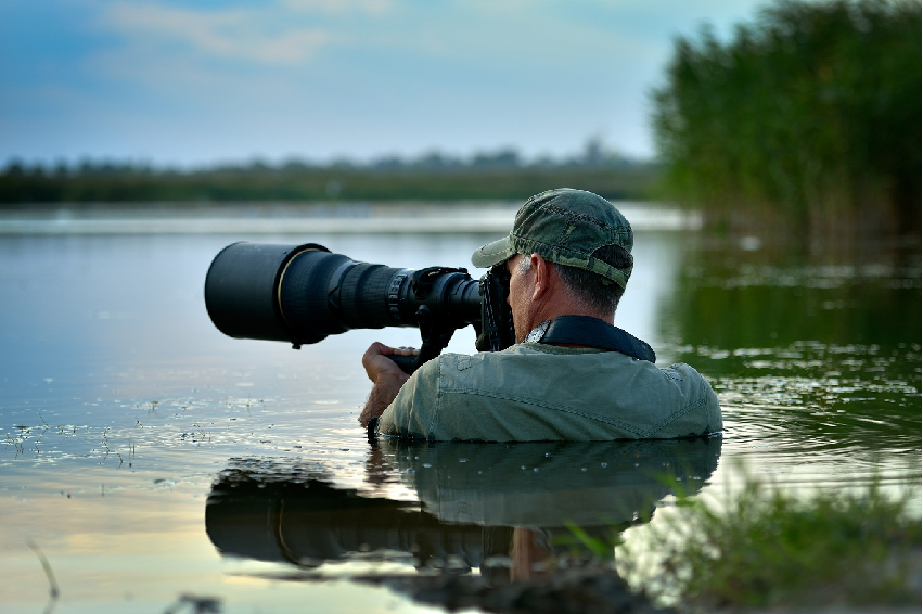 Professional wildlife photographer