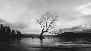 Craft of Black and White Landscape Photography